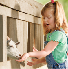Lila's moderate-to-severe atopic dermatitis at four years old