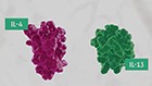 <strong>CRSwNP MOA VIDEO</strong><br>Take a deeper dive into the MOA of DUPIXENT
