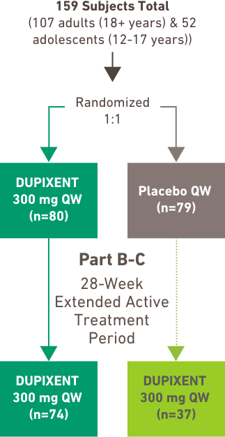 Part B 24-Week Placebo-Controlled Treatment Period